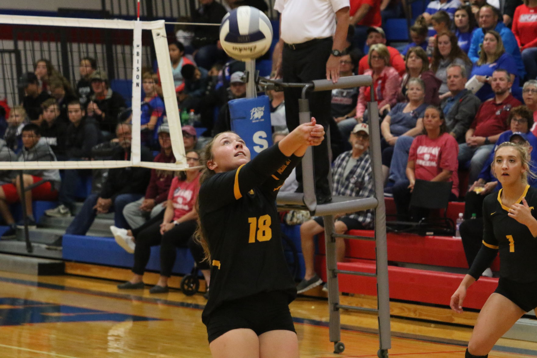 Volleyball (14).JPG